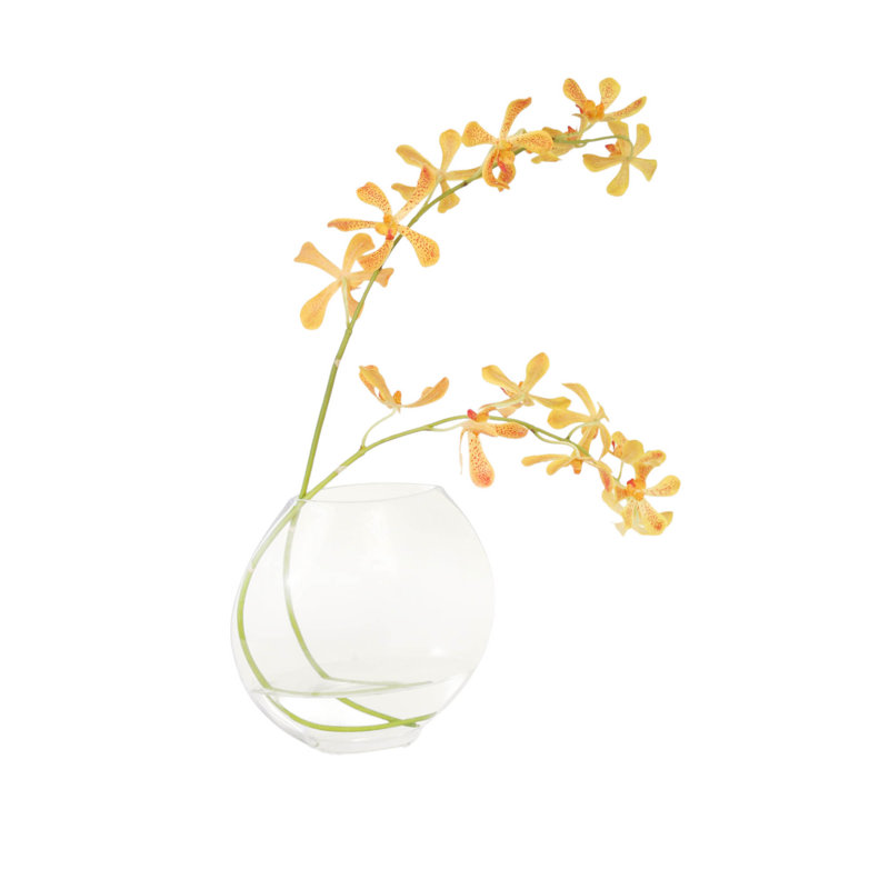 Gold Vanda Orchids in Disk Vase