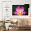 Harnek sur le lotus-107886691