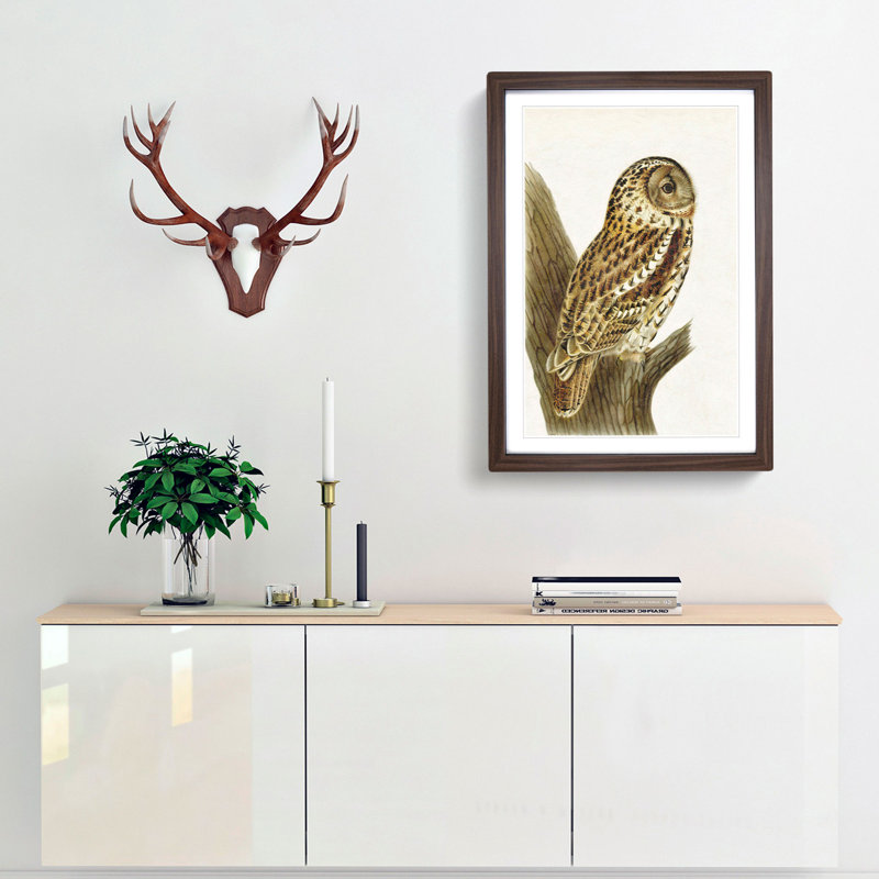 Tawny Owl by Von Wright - Picture Frame Art Print, 65cm H x 48cm W x 2cm D, Walnut Framed