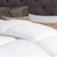 Édredon en duvet synthétique toutes saisons Lucid-1369367759-1369776554