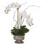 Real Touch White Phalaenopsis Orchids With Succulent In Silver Aged Metal Pot