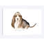 « basset hound », reproduction sur toile-31387282-73442446-73442442