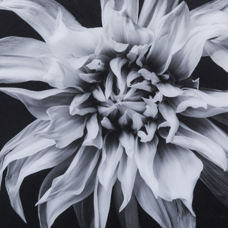 Black And White Flower Epoxy F Print