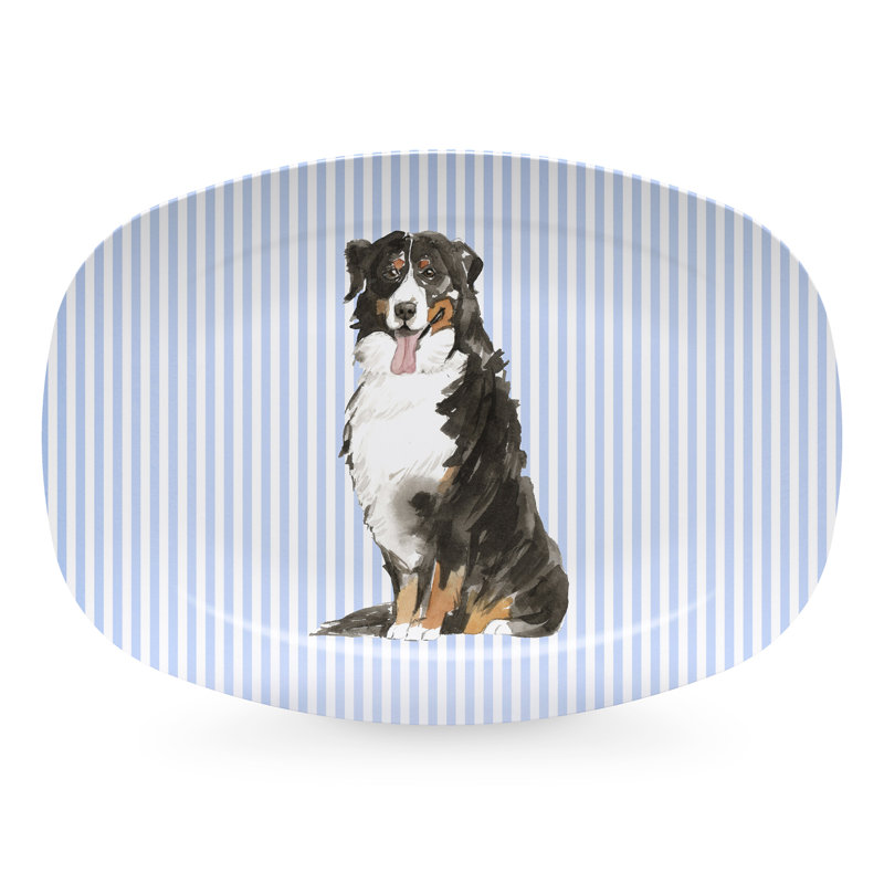 Plateau de bouvier bernois Best Friends