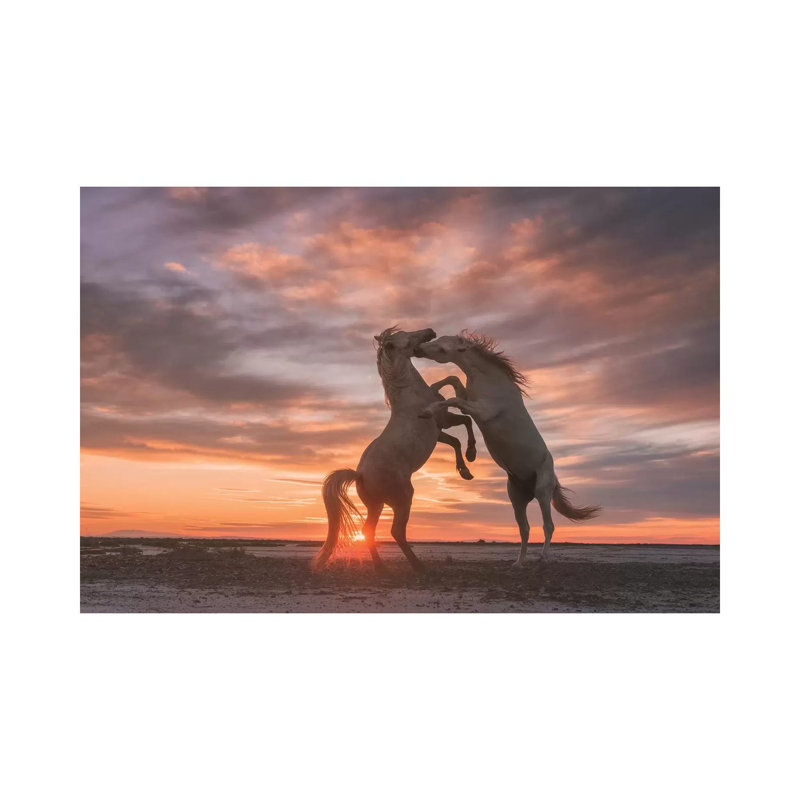 White Angels Of Camargue VII by Daniel Kordan - Wrapped Canvas Print, 20.32 cm H x 30.48 cm W