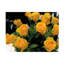 Art sur toile noir et jaune II-104140852
