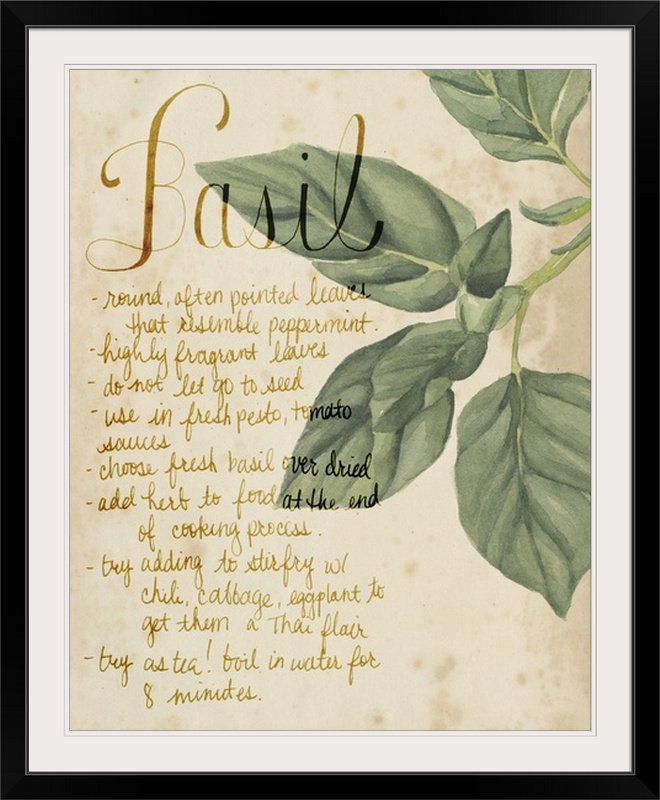«Herb Study I» Grace Popp, reproduction d'art, Cadre noir, H 23 po x l 20 po x P 1 po