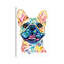Fawn French Bulldog - Frenchie by Lisa Whitehouse - Print on Canvas-63929944-63929939