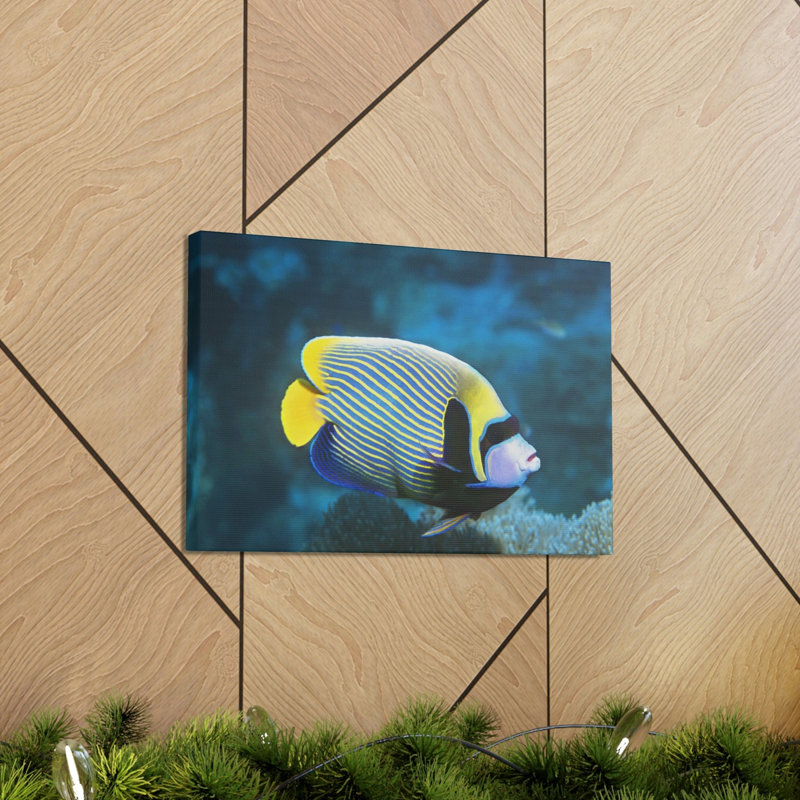 No Frame Print on Canvas, 30.48cm H x 45.72cm W