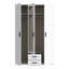 Tariah 3 Door Manufactured Wood Wardrobe