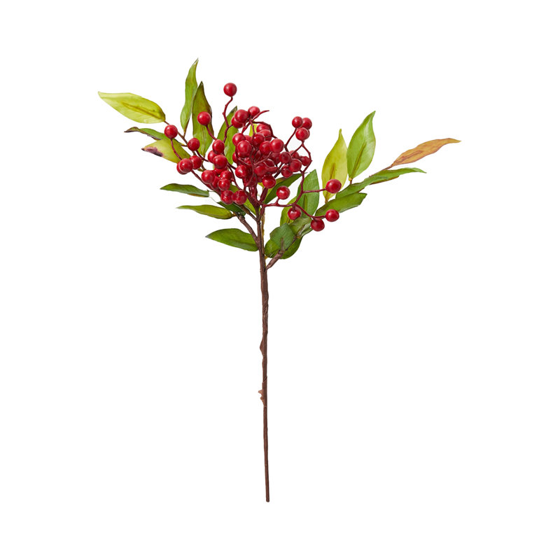 Cueillette de baies rouges et de feuilles vertes Primrue, paquet de 12