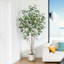 Faux ficus Agostino avec pot de fleurs rond blanc-1639527801