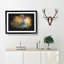 Hare in a Meadow - Picture Frame Graphic Art Print-56863313-56863317