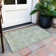 Machine Washable Indoor/Outdoor Claudian ACN1661 Sage Rug