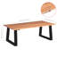 Monterey Park Sled Coffee Table
