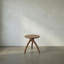Vikram Solid Wood End Table-1744372567