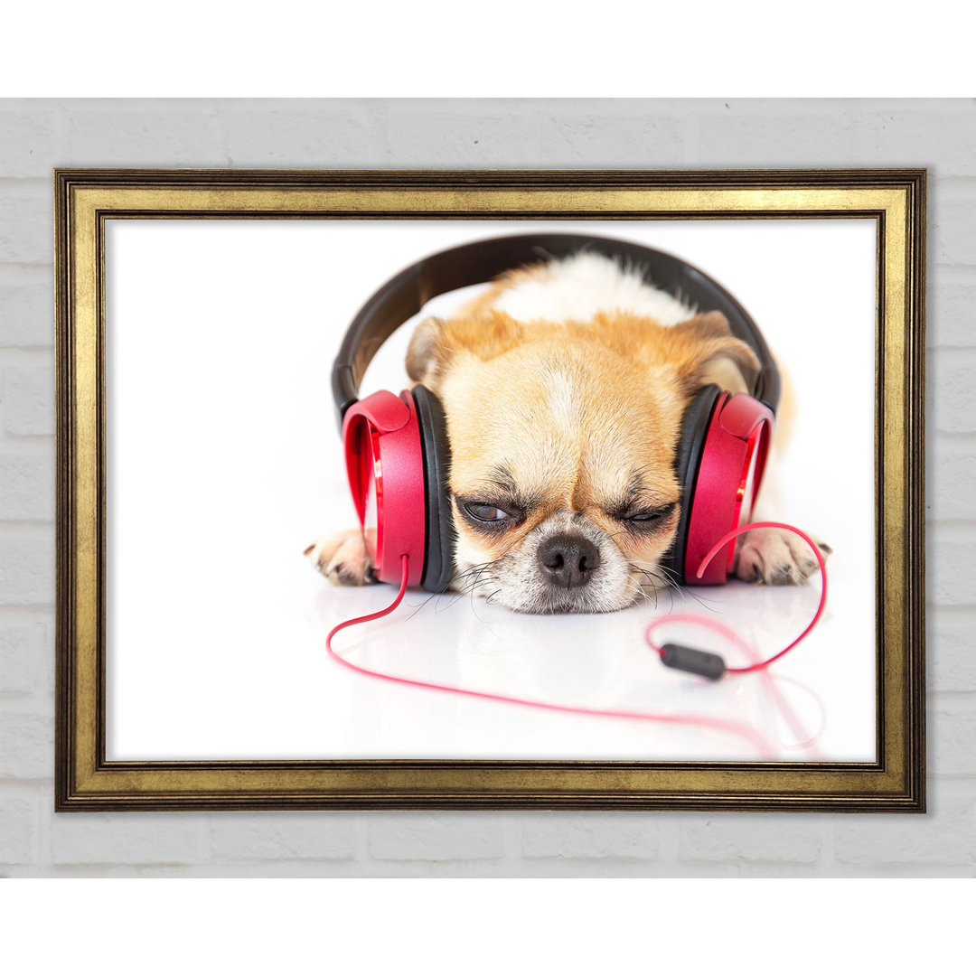 Gerahmter Kunstdruck Dog Listening To Music Relaxing