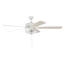 Ventilateur de plafond standard à 5 pales de 60 po avec chaînette et ensemble d'éclairage inclus-325892067