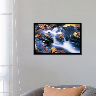 «Autumn Leaves in Little River, Great Smoky Mountains National Park, Tennessee - Horizontal», reproduction de photo sur toile