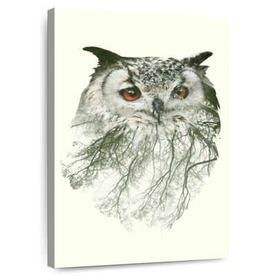 Brampt Forest Tree Owl