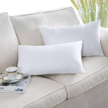 Arywn Polyfill Indoor / Outdoor White Square Throw Pillow Insert Wade Logan Size: 20 x 20