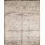 Neo Villa Floral Area Rug