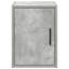 Basic Storage System-114299845