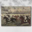 Animaux, paysage, série CCXI-311016073