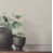 Taupe selected