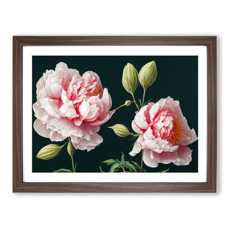 Fascinating Peony Flowers 1 Piece Single Picture Frame Wall Art, 34cm H x 46cm W x 2cm D, Walnut Framed