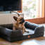 Ferplast Beddings Orthopedic Cotton Pet Bed-88709281