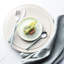 Fuse Color 24 - Piece Stainless Steel Flatware Set - Service for 6-55131764