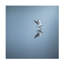 David Ahern  Touchdown Canvas Art-109225851