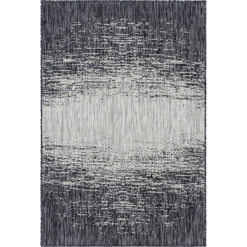 Pindall Charcoal Gray/Gray Indoor/Outdoor Rug, Rectangle 4'1" x 6'1"