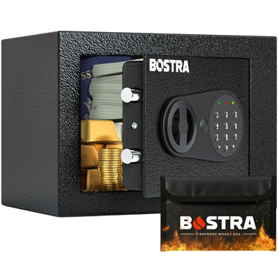 File Safe Dual Lock