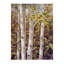 « aspen quartet », reproduction de peinture à l’acrylique sur toile tendue-31972985