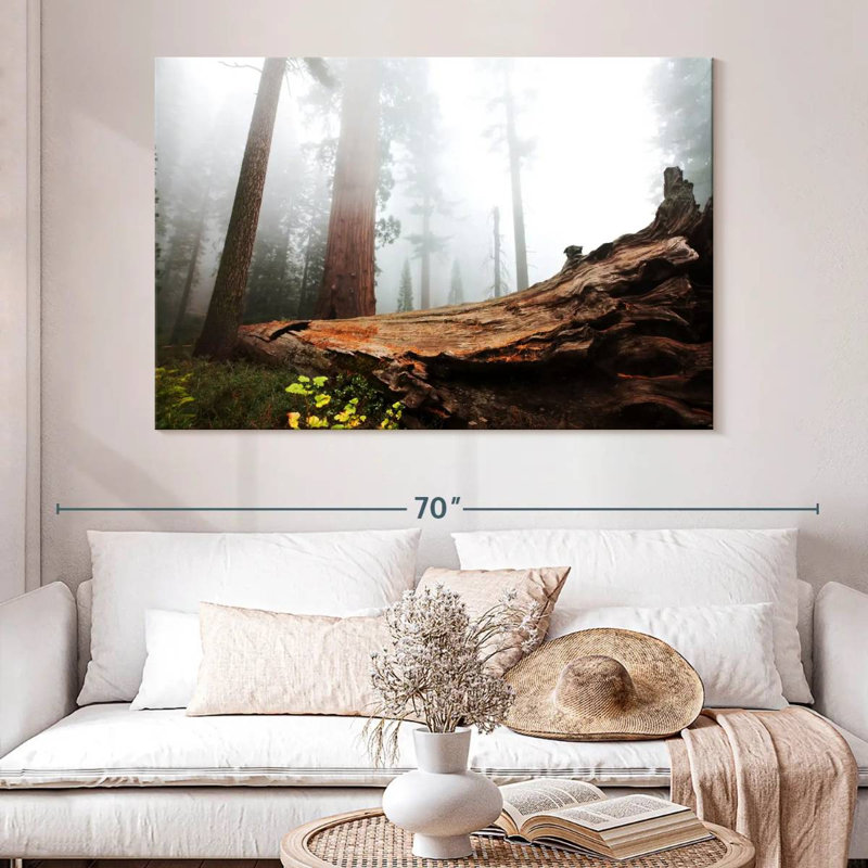 Harnek Fallen Sequoia Tree, 34'' H x 51'' W
