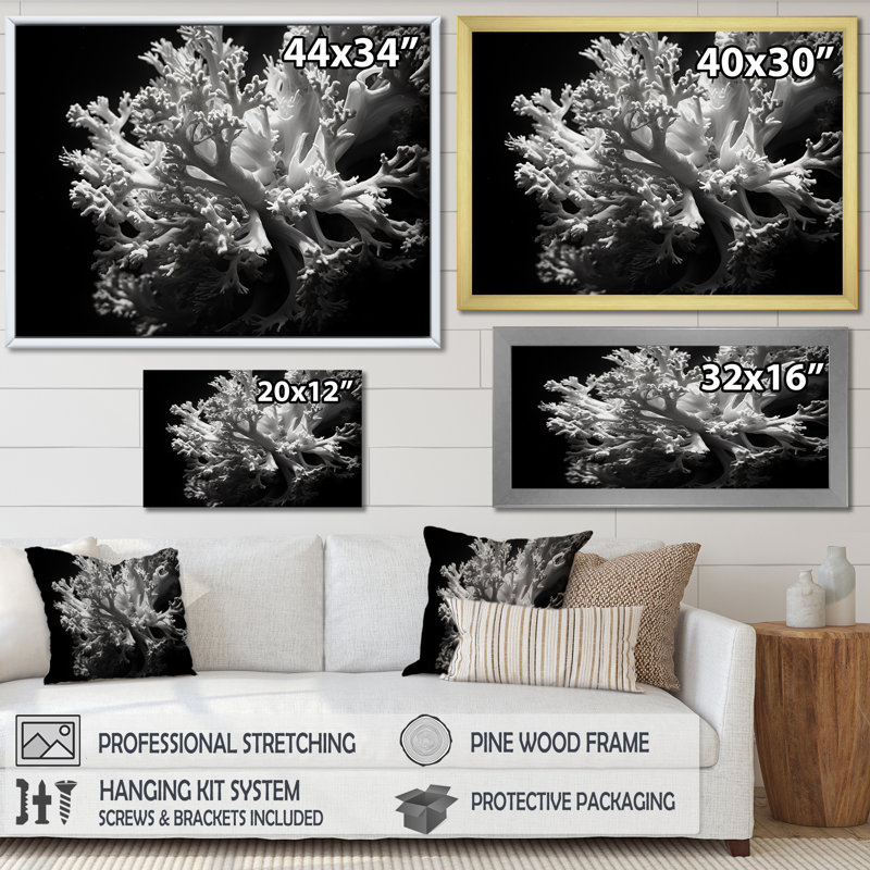 Anémone noire et blanche III - Décoration murale plage et océan, Cadre naturel flottant, H 24 po x l 32 po