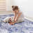 5X8 Area Rug In Blue - Washable, Non-Slip, For Bedroom, Hallway, Kitchen, Living Room & Pet Enchanting Floor Soft, Machine Washable Room, Entryway Approved-2071286063