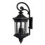 Raley 4-Light Outdoor Wall Lantern
