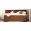 Lit de jour simple en noyer avec tablette pratique et agencement de tiroirs - Space Handy Combinaisons Modern Home Staple