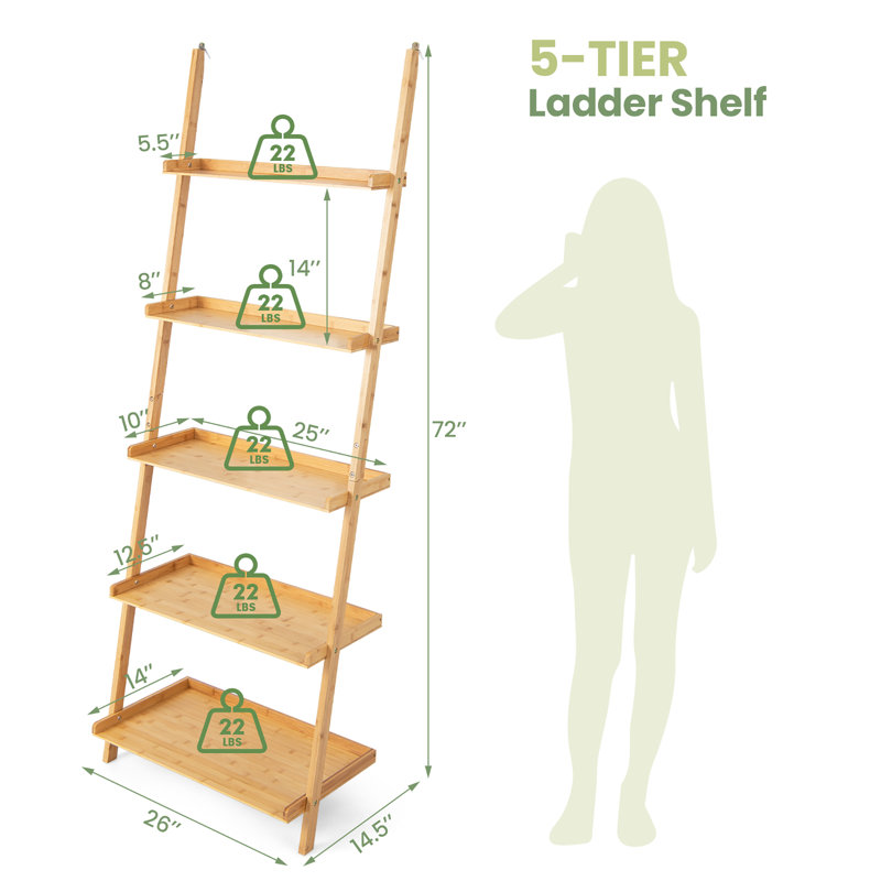 Ladder Bookcase