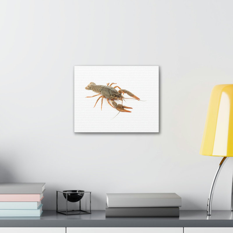 «Cray Fish Hunting», art mural animaux, H 11 po x l 14 po