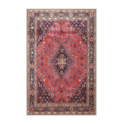 Oriental Indoor Rug