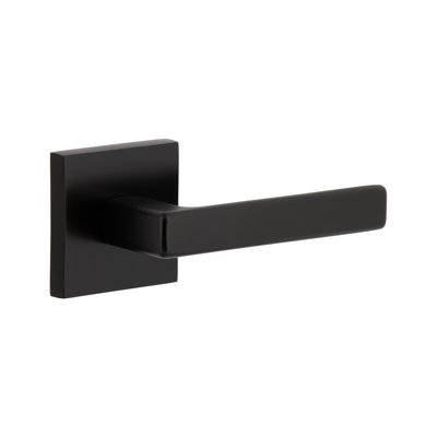 Viaggio Circolo Rosette Single Dummy with Lusso Lever