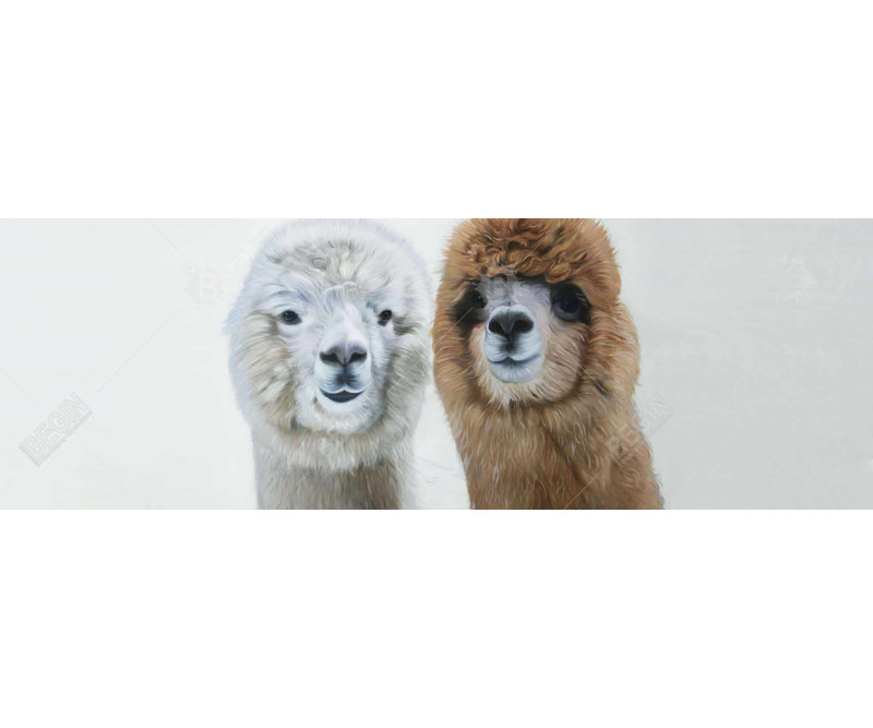 Rustic Farmhouse Decor | Two Llamas Framed Canvas for Bedroom