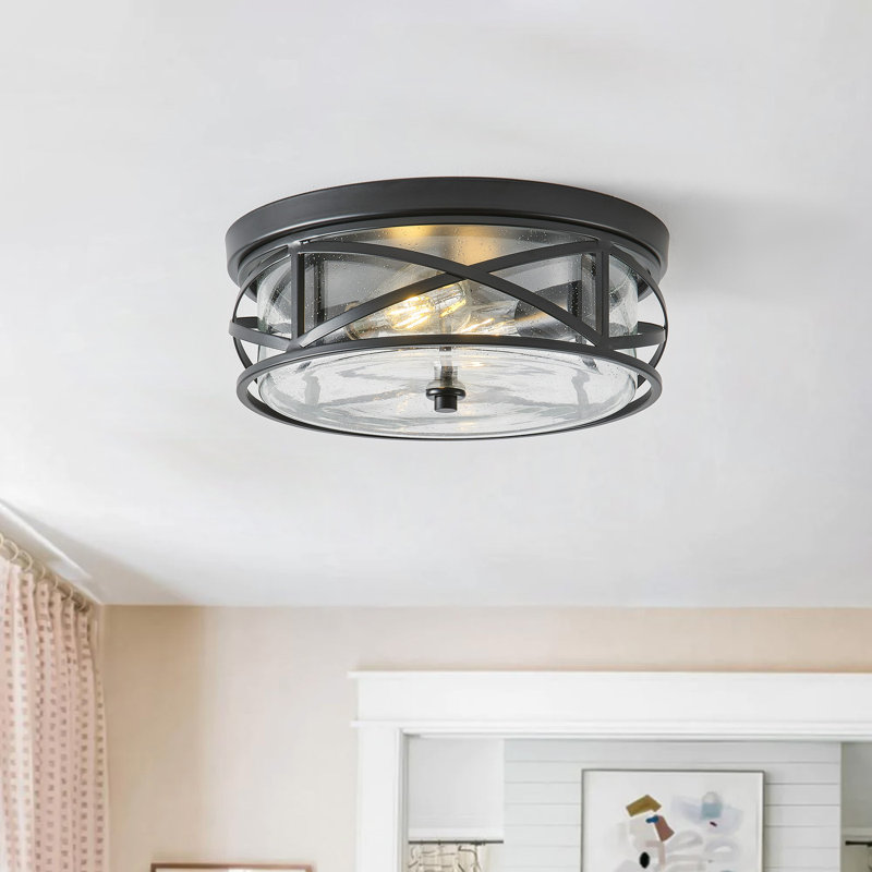 2-Lamp Circular Clear Glass Adjustable Iron Ceiling Light