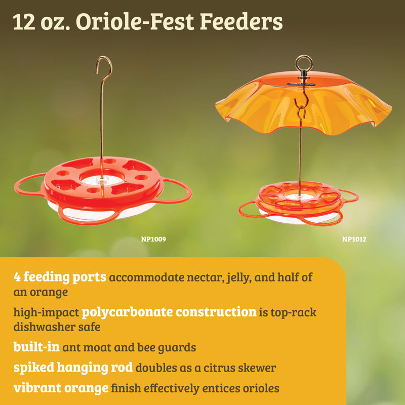 Orange and Black Polycarbonate Oriole Feeder with Heart Ornament