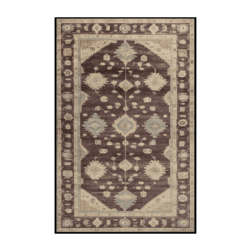 Machine Washable Overdyed Brown Area Rug, Rectangle 8' x 12'