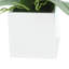 Orchid Arrangement in Square Fiberstone Pot-808760900
